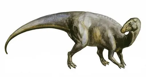 adrosaurio mirando atras