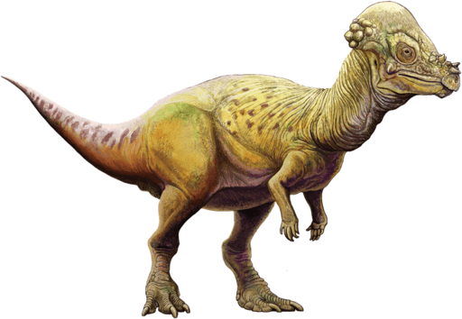 dinosaurio cabeza de fraile