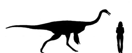 comparación de tamaño del gallimimus