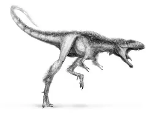 Posible aspecto de un rapto rex