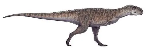 Saurio Rajasaurio