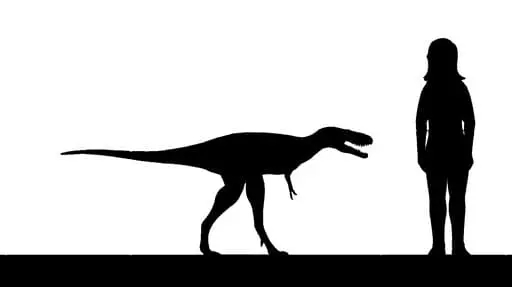Tamaño aproximado de un Raptorex
