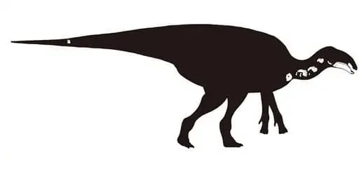 Fosiles del Yamatosaurus