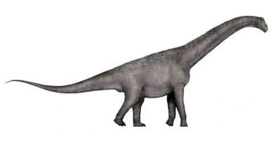 Baalsaurus: 