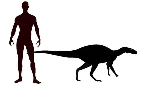 comparación del Zalmoxes con una persona